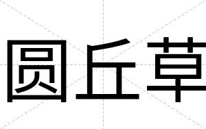 圆丘草