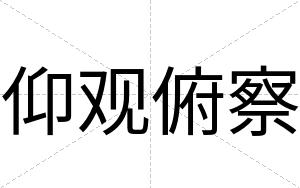 仰观俯察