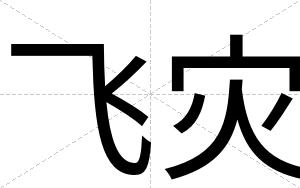 飞灾
