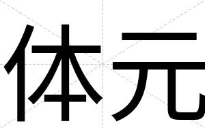 体元