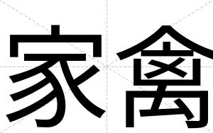 家禽