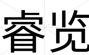 睿览