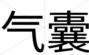 气囊