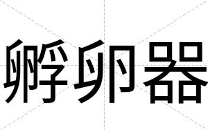 孵卵器