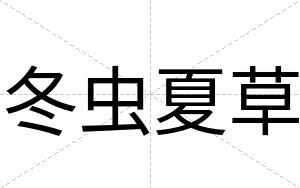 冬虫夏草
