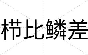 栉比鳞差