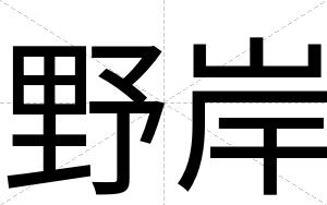 野岸