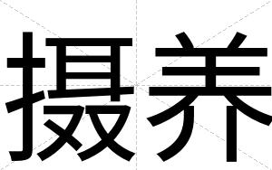 摄养
