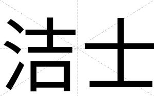 洁士