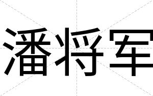 潘将军