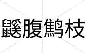鼷腹鹪枝