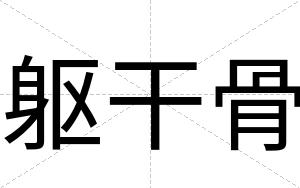 躯干骨
