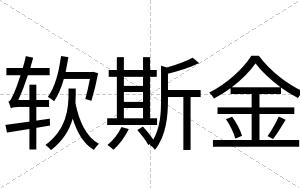 软斯金