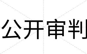 公开审判