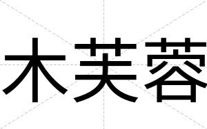木芙蓉