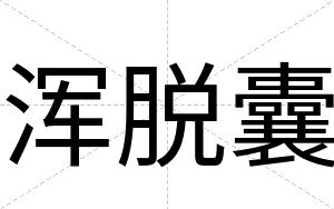 浑脱囊