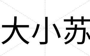 大小苏