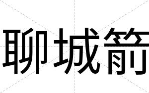 聊城箭