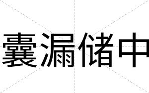 囊漏储中