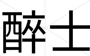醉士