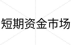 短期资金市场