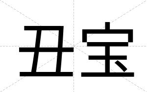 丑宝