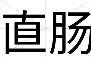 直肠