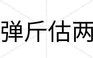 弹斤估两