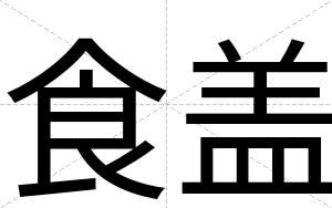 食盖