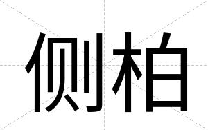 侧柏