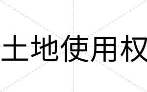 土地使用权