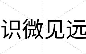 识微见远