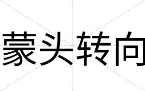蒙头转向