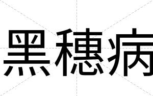 黑穗病