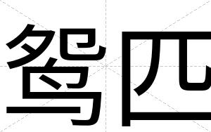 鸳匹