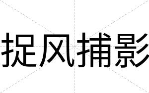 捉风捕影