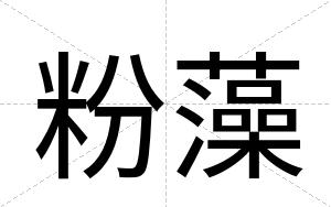 粉藻