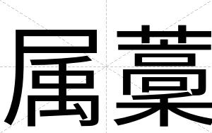 属藳