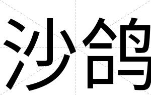 沙鸽