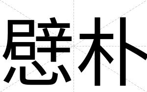 憵朴