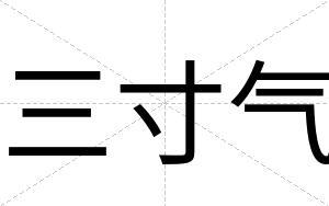 三寸气