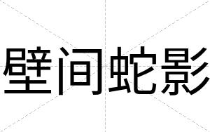 壁间蛇影
