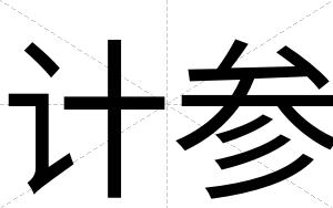 计参