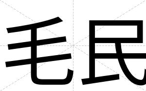 毛民