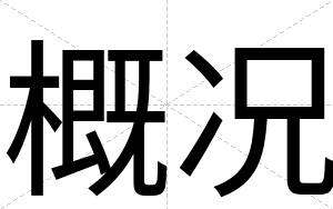 概况