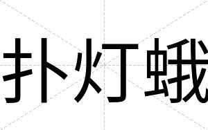 扑灯蛾