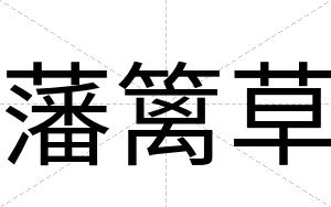 藩篱草