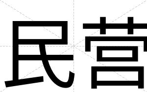 民营