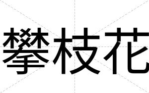 攀枝花