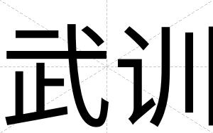 武训